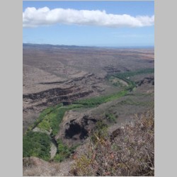 20100923_132547_DSCF2922_kauai_waimea_canyon_state_park.JPG